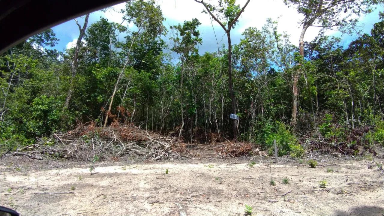 OPORTUNIDADE TERRENO NO PAJUÇARA  - Foto 2
