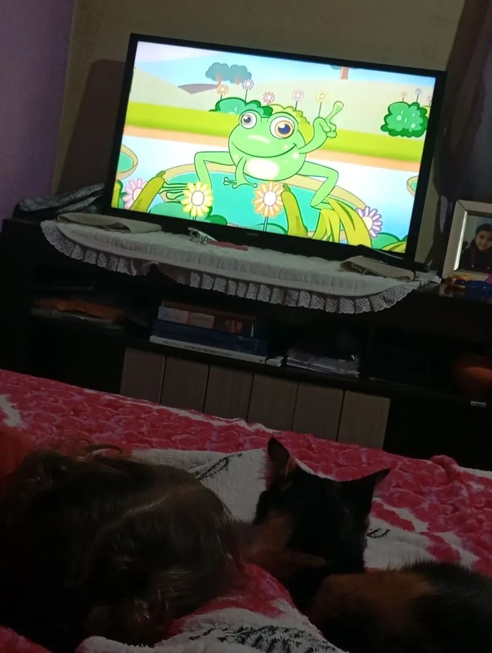 Vende-se TV 32 - Foto 3