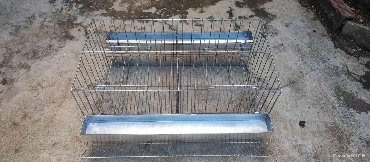 Gaiola para codornas 430234107799808001