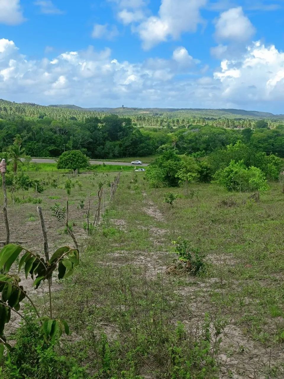 Vendo terrenos perto de Santo amaro perto do povoado aldeias  - Foto 2
