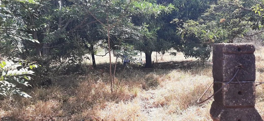 Chácara com 2 Hectares - Foto 4