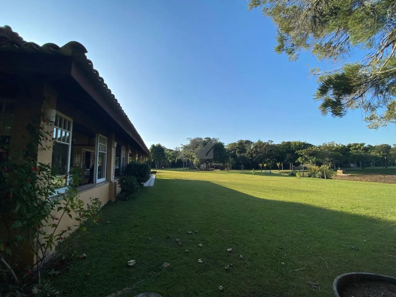 chácara - Sousas - Campinas - Foto 3
