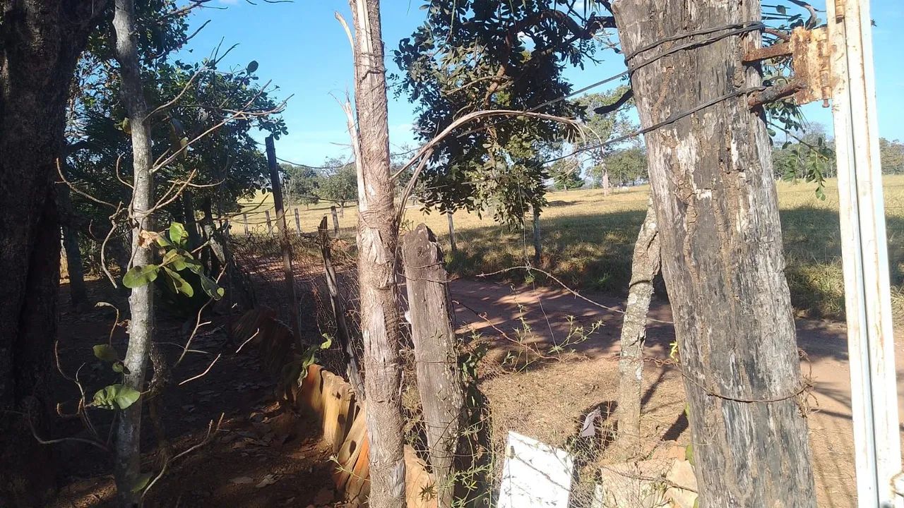 Vende-se chácara urgentemente! - Foto 4