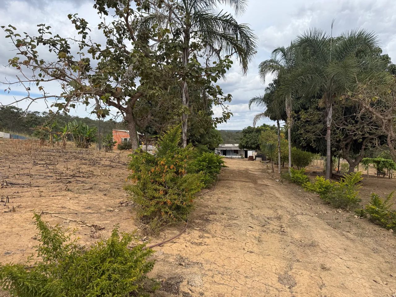 Chácara  - Foto 5