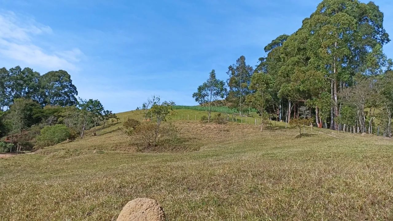 Sitio em jambeiro ótimo pra gado de corte e lazer - Foto 4