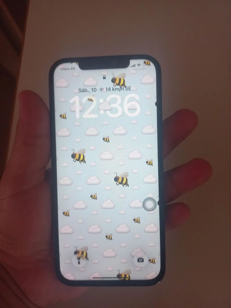 IPhone 12 pro max 256 gb