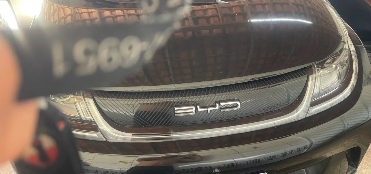 BYD Dolphin 2024