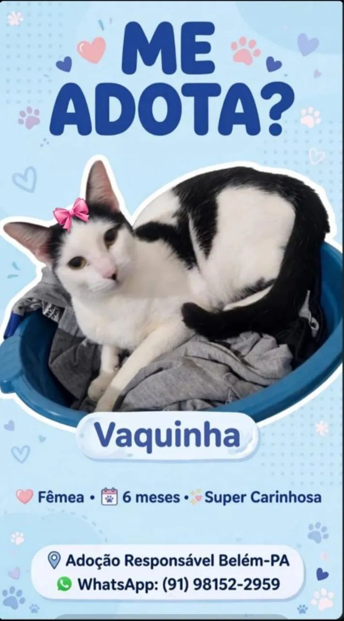 Doação responsável  - Foto 3