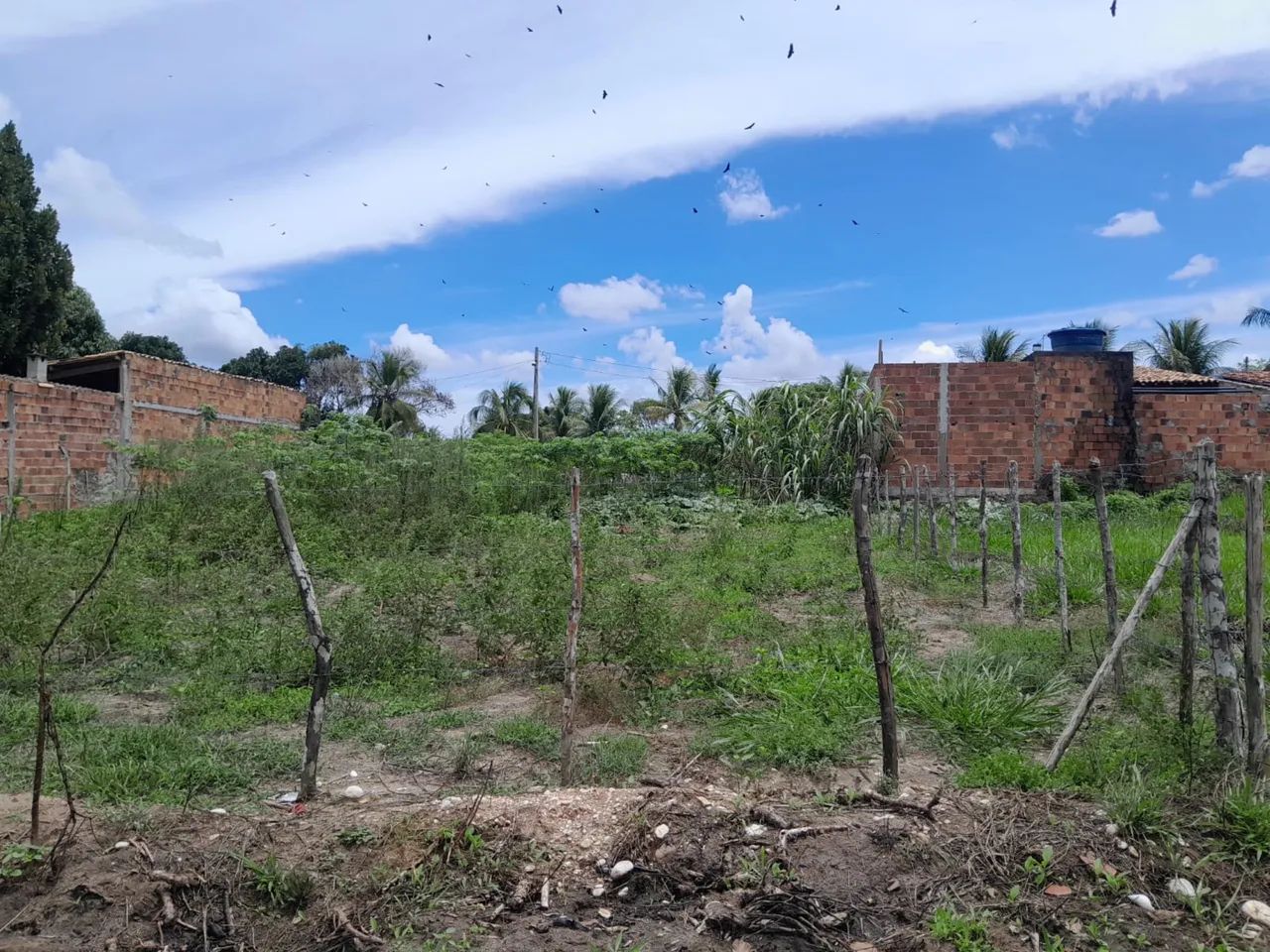 VENDE-SE TERRENO EM ITAPORANGA - Foto 5