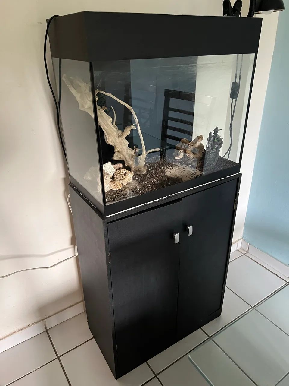 Aquário plantado 70L