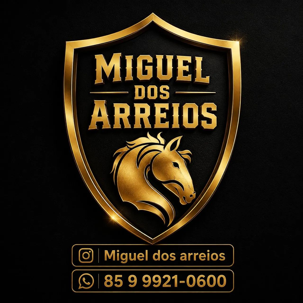 Arreios e acessório 