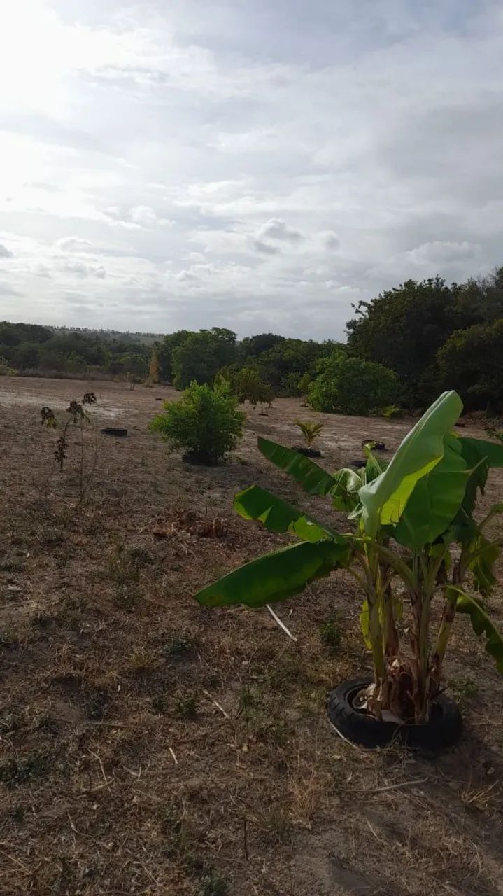 Terreno praia bela  - Foto 4