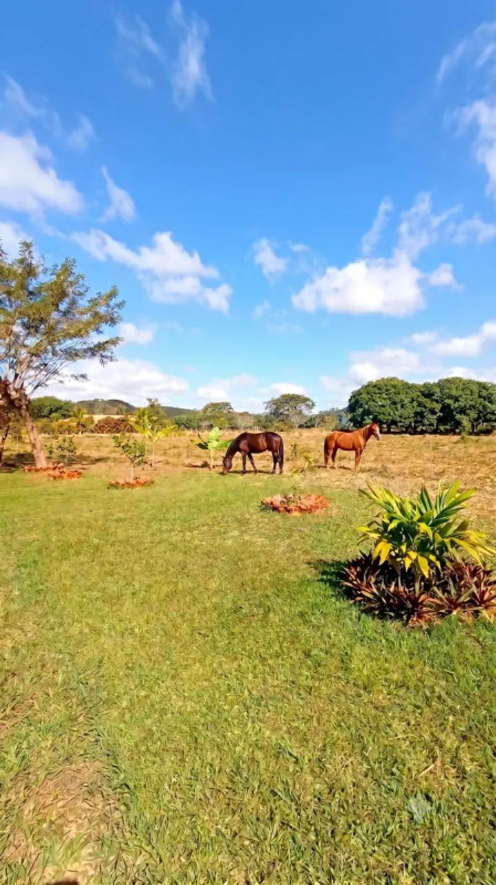 Fazenda / Sítios / Chácaras com 4 quartos à venda em Esmeraldas - Foto 2