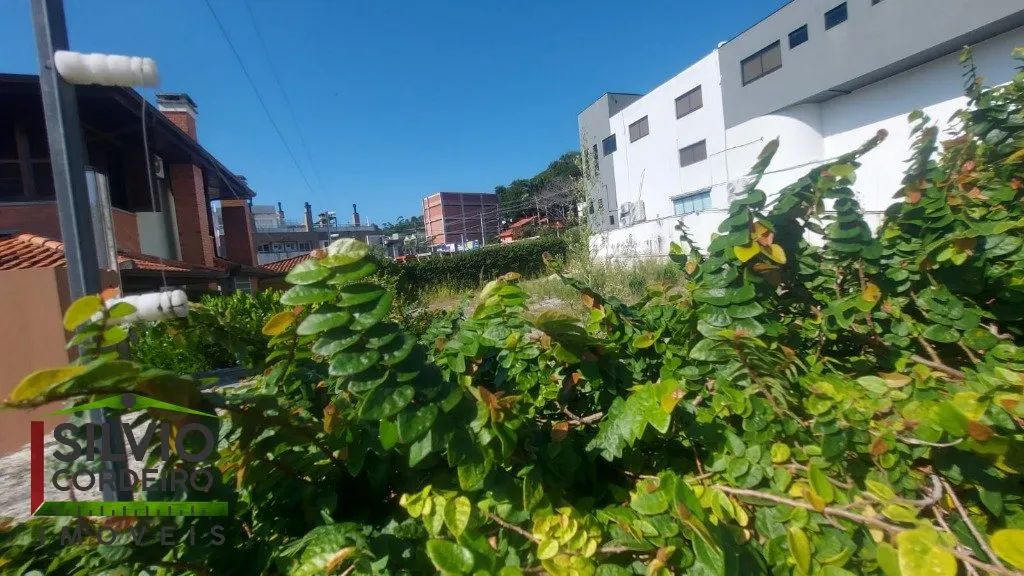 Terreno Plano com 476m² no Córrego Grande - Foto 5
