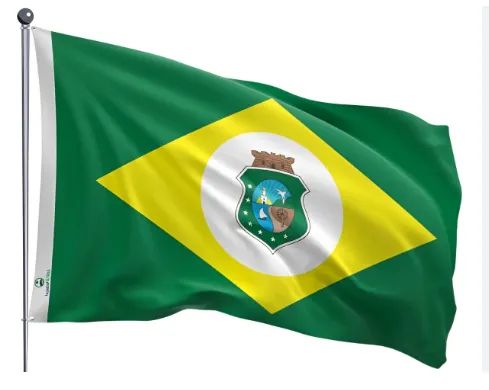Bandeira em geral de mastro ou ilhós - Foto 2