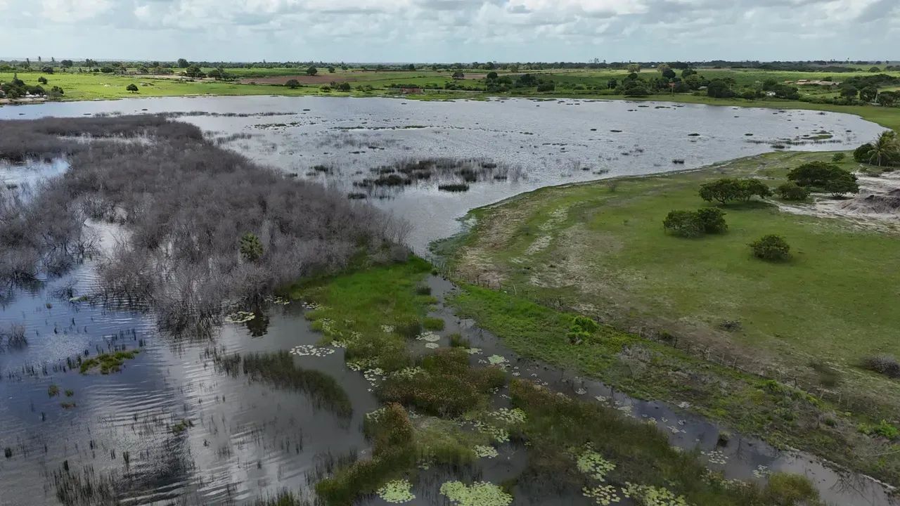 fazenda com 19.9 hectares próximo a lagoa salgada um paraíso de área - Foto 2