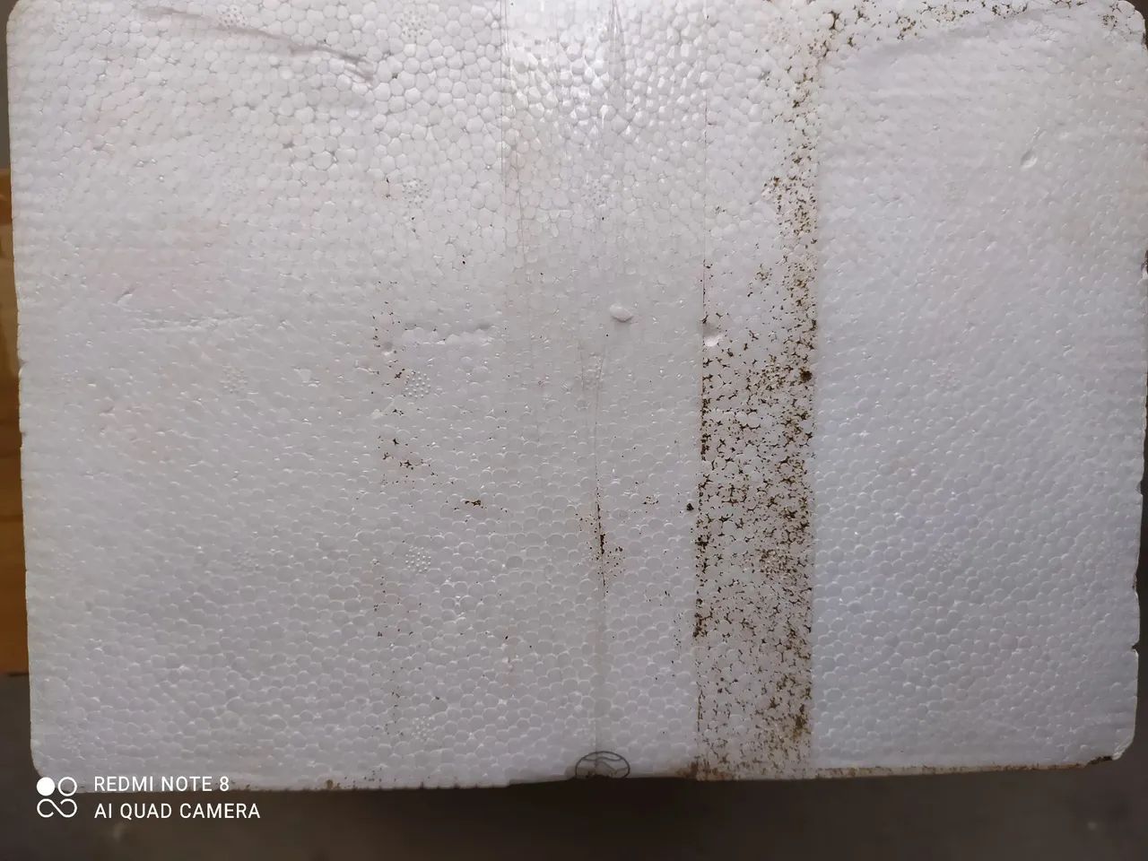 Painel Hornet carburada  - Foto 6