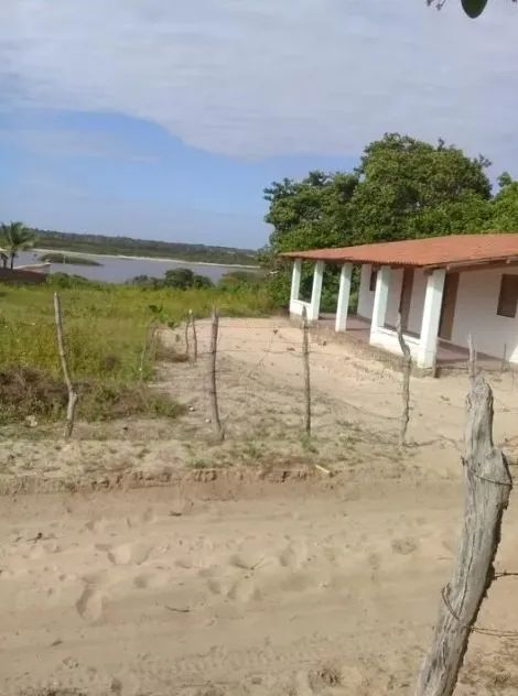 Terreno na Caponga - 36000m² É muita terra! E é produtiva! 2 fontes de água! E muito cajú! - Foto 2