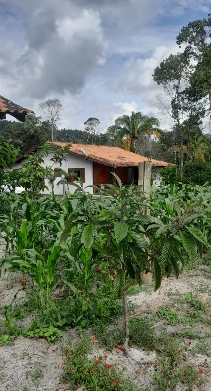 Chácara 3 mil m² Itapoá SC - Foto 2