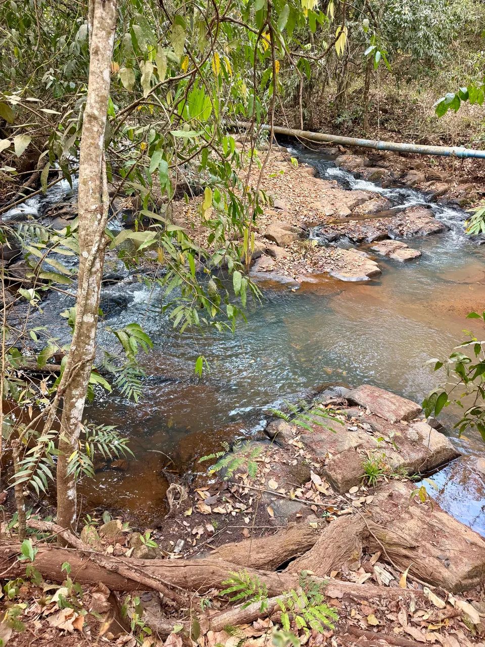 Chácara 35.000m2 em Bonfinópolis-GO - Foto 5