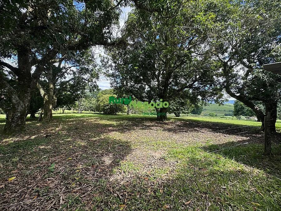 CHÁCARA PLANA COM BELAS CONSTRUÇÕES E FÁCIL ACESSO - Foto 2