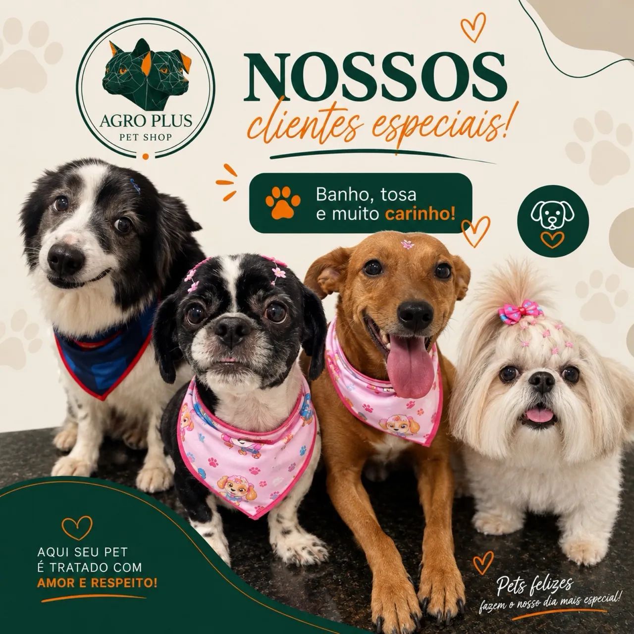 Banho e tosa - levamos e buscamos seu pet  - Foto 2