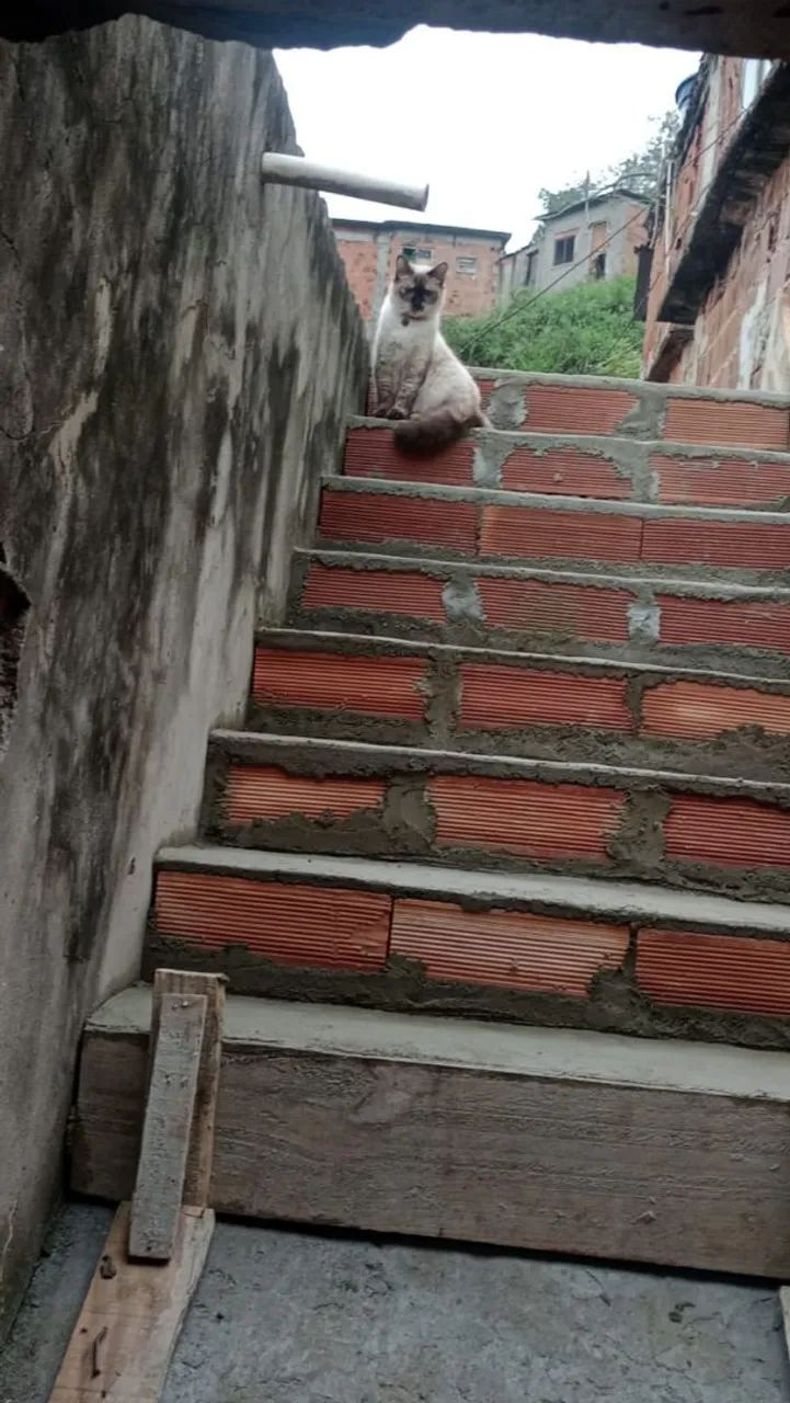 REFORMAS E REPAROS EM GERAL  - Foto 4