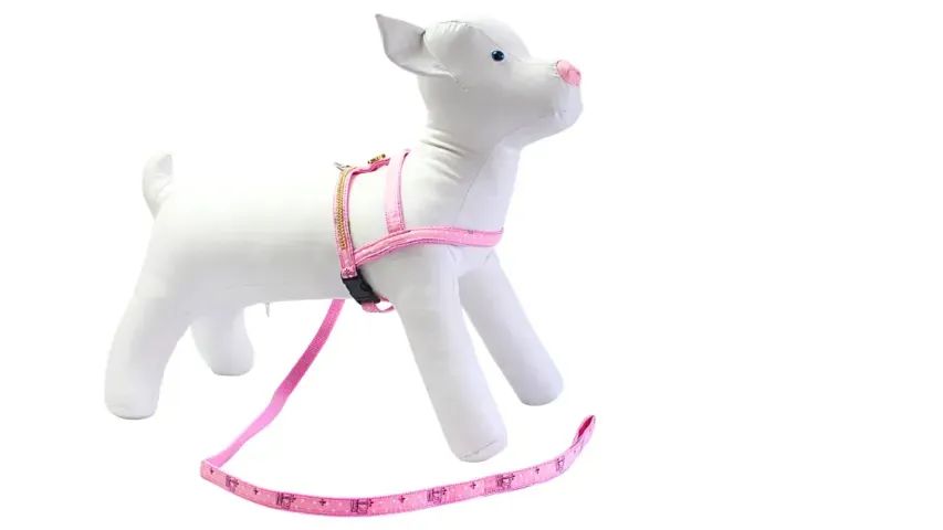 CONJ. PEITORAL NYLON PRINCESA ROSA - Foto 5