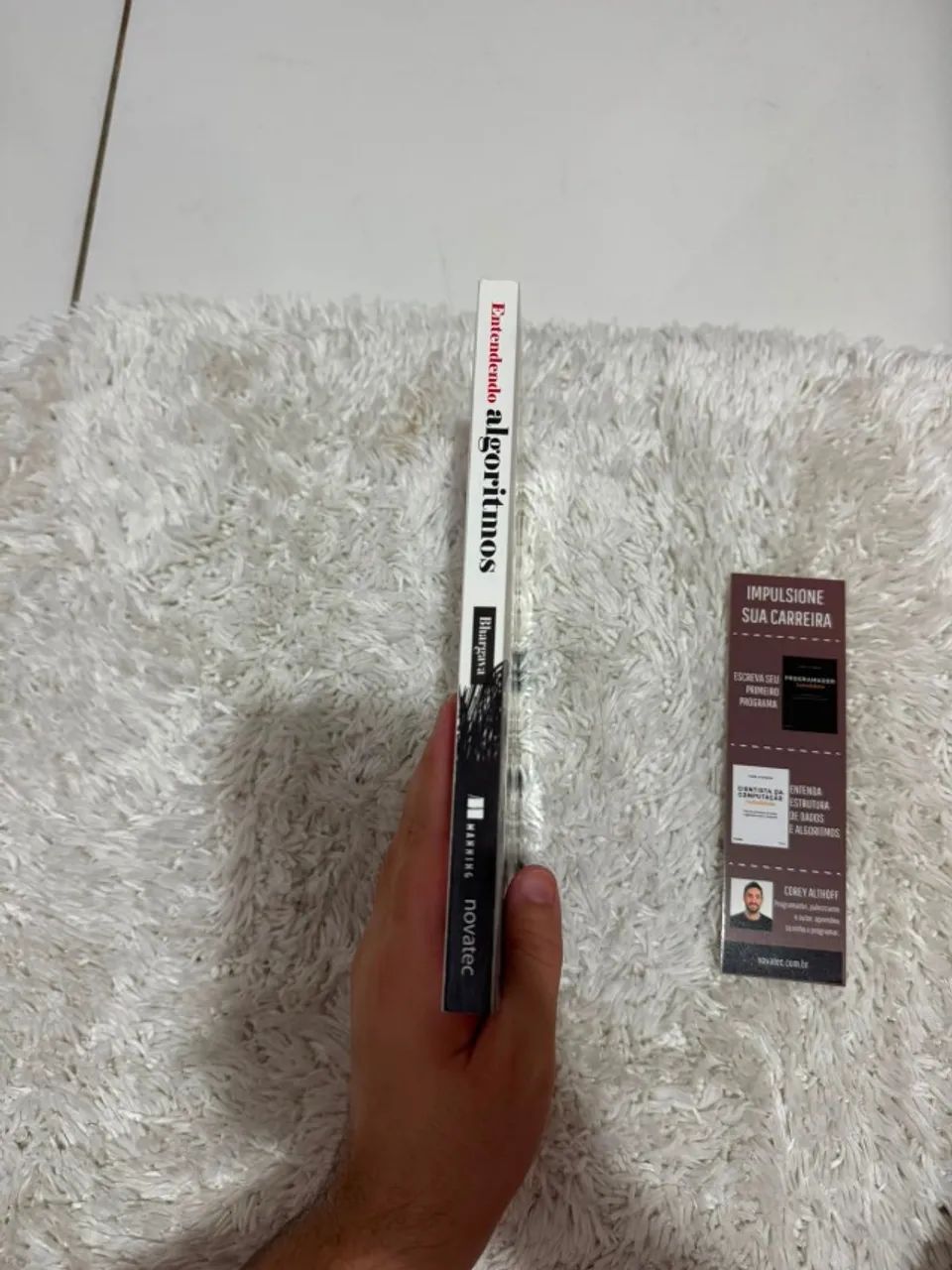 Livro Entendendo algoritmos  - Foto 2