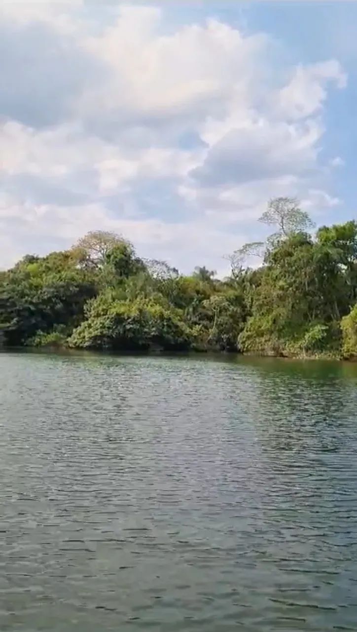 EXCELENTE FAZENDA A VENDA EM CÁCERES - Foto 4