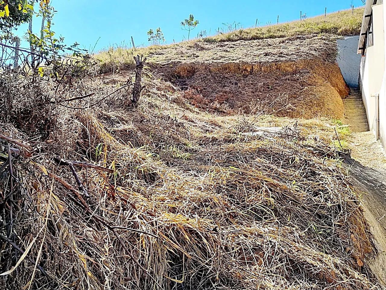 Lote / Terreno - Costa Carvalho - Foto 4