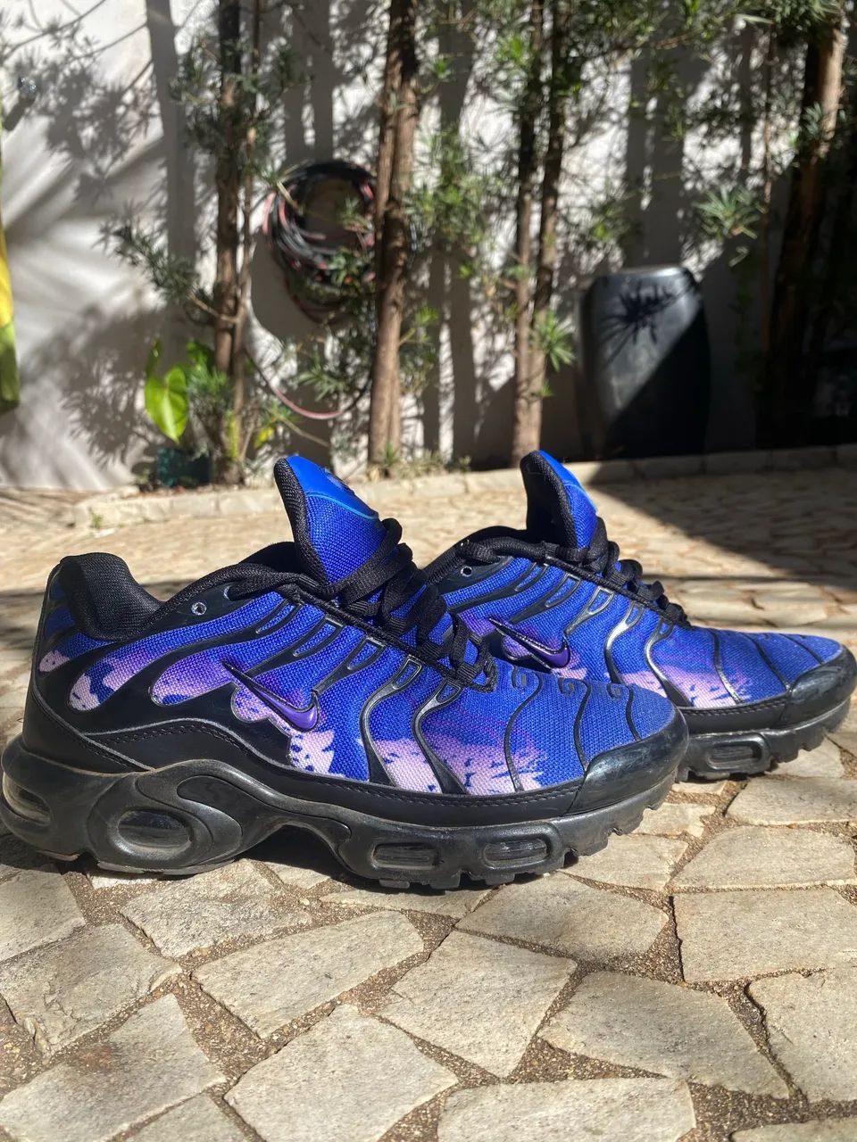 Tn purple dragon 