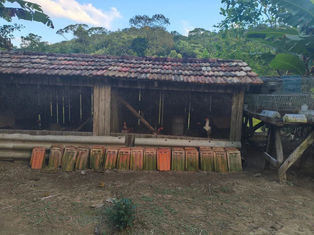 CHÁCARA À VENDA - PEDRA BRANCA - Foto 4