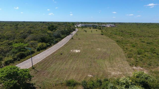 Lotes financiados em Jericoacara - Foto 4