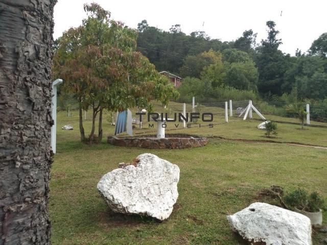 Mini Sitio dos sonhos - Foto 14
