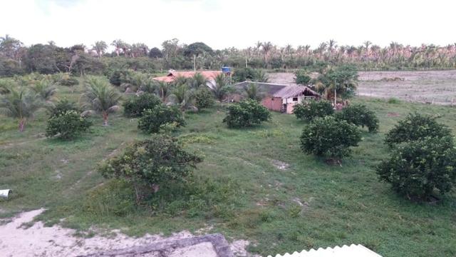 Fazenda montada em Itapecuru-Ma, 200 hectares,margeada pelo Rio Itapecuru! - Foto 3