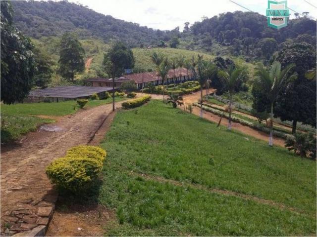 Aiquara . Ótima fazenda produtora de cacau