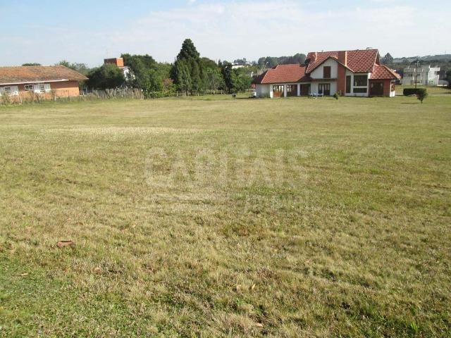 Terreno com 1250m² Campo Largo da Roseira, São José dos Pinhais - Foto 11