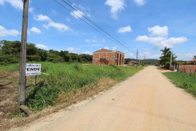 Terreno à venda em Parque residencial cerro azul, Araquari cod:768 - Foto 3