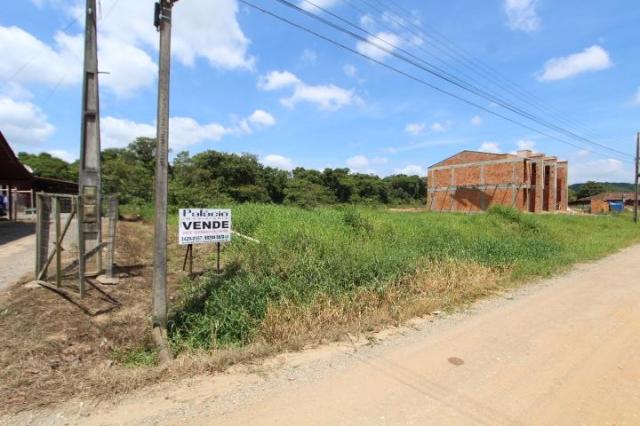 Terreno à venda em Parque residencial cerro azul, Araquari cod:768