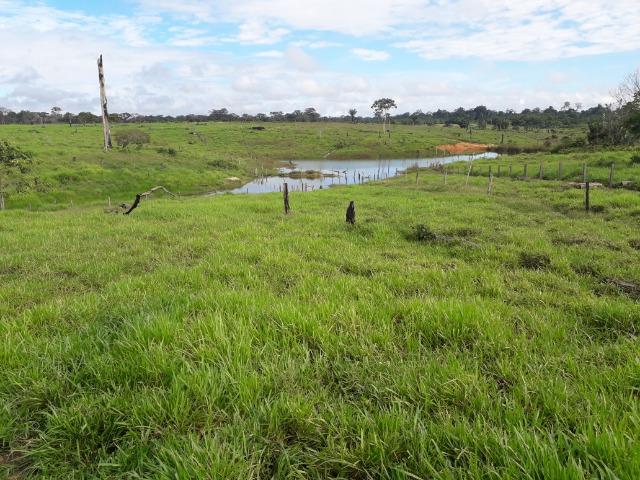 Imperdível fazenda em Roraima Caroebe - Foto 12