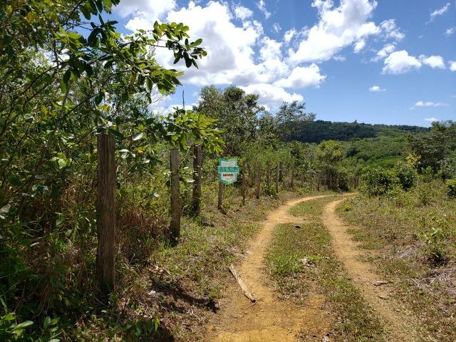 Ubaitaba. Fazenda de oportunidade. São 527 Hectares - Foto 7