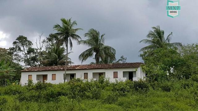 Ubaitaba. Fazenda de 450 Hectares, produção de cacau e gado, completa infraestrutura. - Foto 13