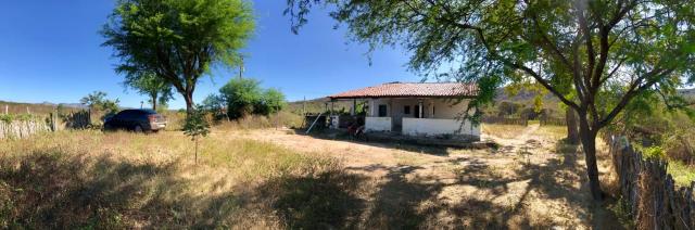 Sitio a venda em Quixadá - Foto 9