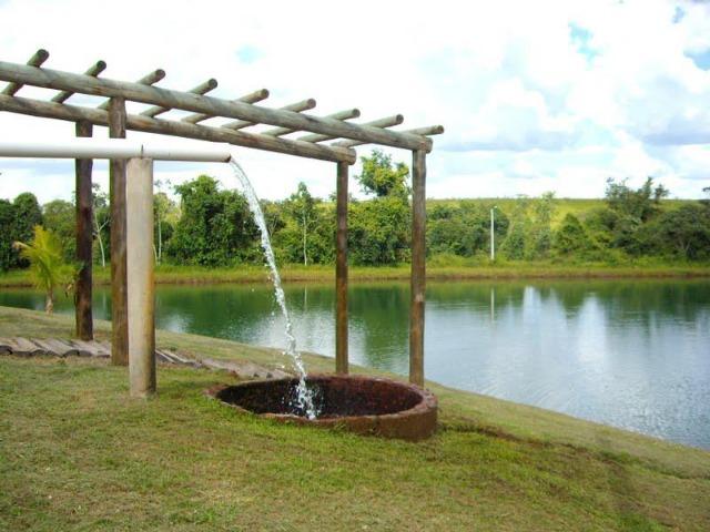 Fazenda de 12,68 alqueires maravilhosa em bela vista de goias - Foto 9
