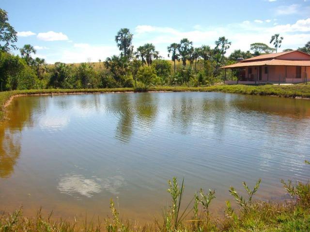 Fazenda de 12,68 alqueires maravilhosa em bela vista de goias - Foto 7