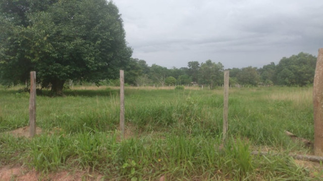 4,42 hectares em Benevides por 250 mil reais porteira fechada - Foto 17
