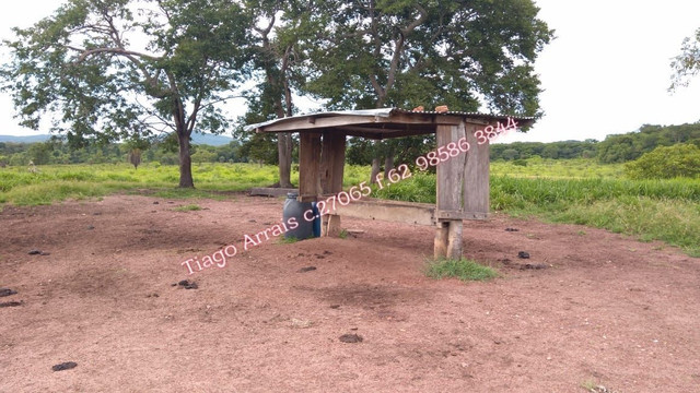 Fazenda 175 alq Mozarlândia - Foto 5