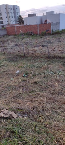 Terrenos Comerciais  no Francês - Foto 4