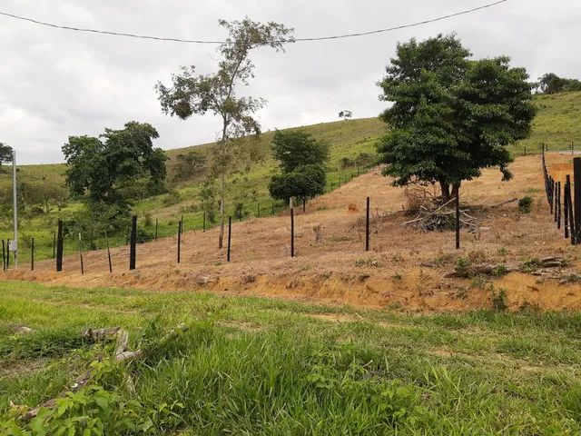 GRANJA 1500m2 C/Energia - Foto 2